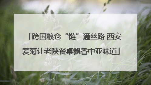 跨国粮仓“链”通丝路 西安爱菊让老陕餐桌飘香中亚味道