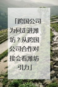 跨国公司为何走进潍坊？从跨国公司合作对接会看潍坊引力