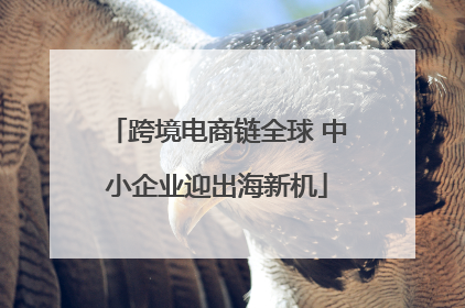 跨境电商链全球 中小企业迎出海新机