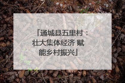 通城县五里村：壮大集体经济 赋能乡村振兴