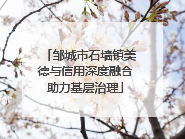邹城市石墙镇美德与信用深度融合助力基层治理
