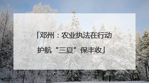 邓州：农业执法在行动 护航“三夏”保丰收