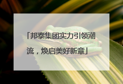 邦泰集团实力引领潮流，焕启美好新章