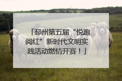邳州第五届“悦跑阅红”新时代文明实践活动燃情开赛！