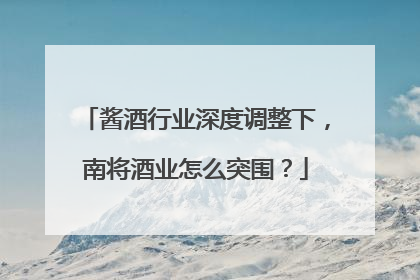 酱酒行业深度调整下，南将酒业怎么突围？