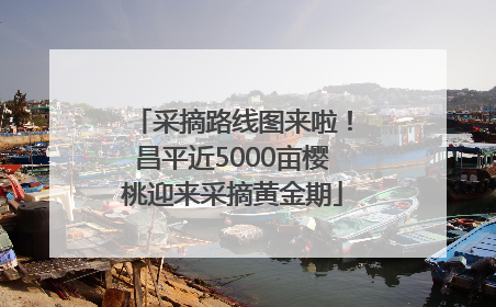 采摘路线图来啦！昌平近5000亩樱桃迎来采摘黄金期