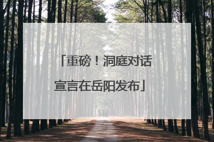 重磅！洞庭对话宣言在岳阳发布