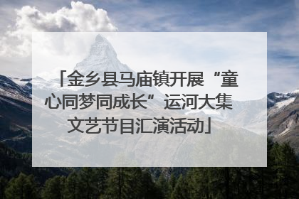 金乡县马庙镇开展“童心同梦同成长”运河大集文艺节目汇演活动