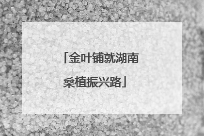 金叶铺就湖南桑植振兴路