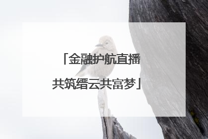 金融护航直播 共筑缙云共富梦