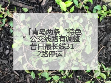 青岛两条“特色”公交线路有调整 昔日最长线312路停运