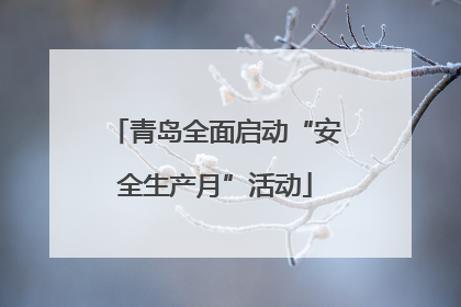 青岛全面启动“安全生产月”活动