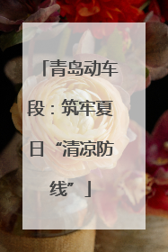 青岛动车段：筑牢夏日“清凉防线”