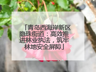 青岛西海岸新区隐珠街道：高效推进林业执法，筑牢林地安全屏障