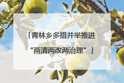 青林乡多措并举推进“两清两改两治理”
