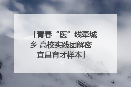 青春“医”线牵城乡 高校实践团解密宜昌育才样本