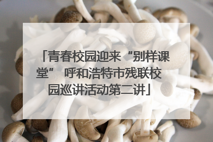 青春校园迎来“别样课堂” 呼和浩特市残联校园巡讲活动第二讲