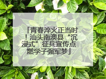 青春淬火正当时！汕头南澳县“沉浸式”征兵宣传点燃学子强军梦