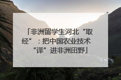 非洲留学生河北“取经”：把中国农业技术“译”进非洲田野