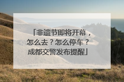 非遗节即将开幕，怎么去？怎么停车？成都交警发布提醒