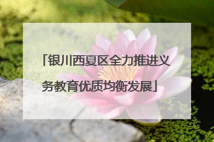 银川西夏区全力推进义务教育优质均衡发展