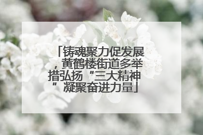 铸魂聚力促发展，黄鹤楼街道多举措弘扬“三大精神”凝聚奋进力量