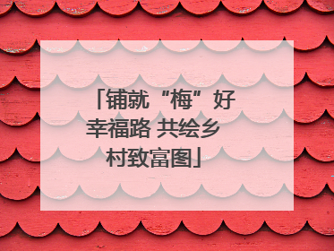 铺就“梅”好幸福路 共绘乡村致富图
