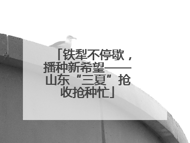 铁犁不停歇，播种新希望——山东“三夏”抢收抢种忙