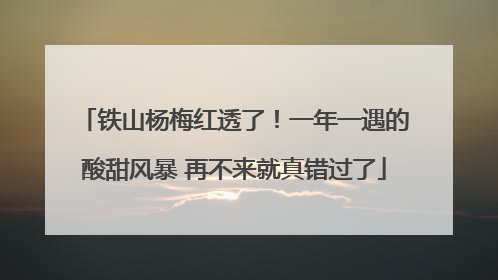 铁山杨梅红透了！一年一遇的酸甜风暴 再不来就真错过了
