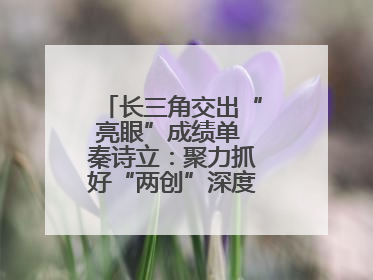 长三角交出“亮眼”成绩单 秦诗立：聚力抓好“两创”深度融合这个棋眼