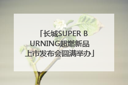 长城SUPER BURNING超燃新品上市发布会圆满举办