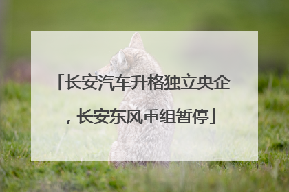 长安汽车升格独立央企，长安东风重组暂停