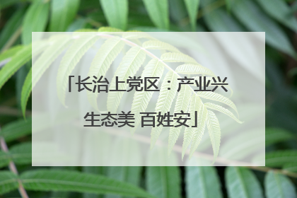 长治上党区：产业兴 生态美 百姓安