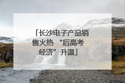 长沙电子产品销售火热 “后高考经济”升温