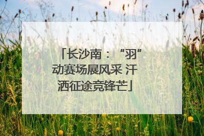 长沙南：“羽”动赛场展风采 汗洒征途竞锋芒