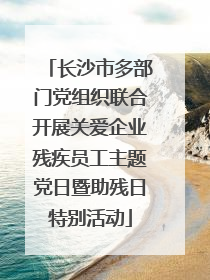 长沙市多部门党组织联合开展关爱企业残疾员工主题党日暨助残日特别活动