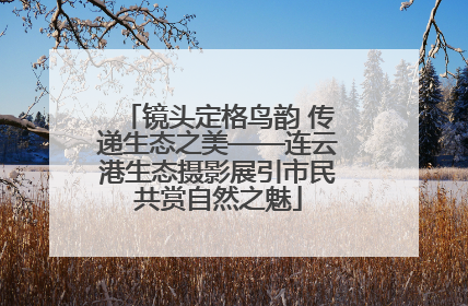 镜头定格鸟韵 传递生态之美——连云港生态摄影展引市民共赏自然之魅