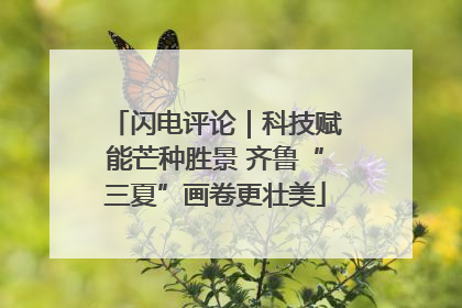 闪电评论｜科技赋能芒种胜景 齐鲁“三夏”画卷更壮美