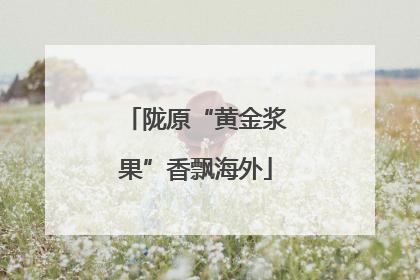 陇原“黄金浆果”香飘海外