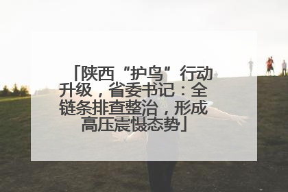 陕西“护鸟”行动升级，省委书记：全链条排查整治，形成高压震慑态势