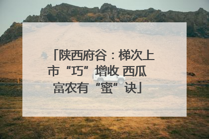 陕西府谷：梯次上市“巧”增收 西瓜富农有“蜜”诀