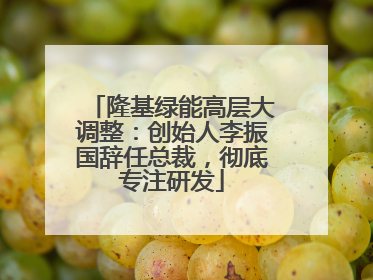 隆基绿能高层大调整：创始人李振国辞任总裁，彻底专注研发