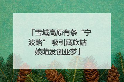 雪域高原有条“宁波路” 吸引藏族姑娘萌发创业梦