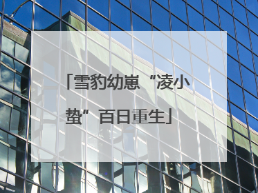 雪豹幼崽“凌小蛰”百日重生