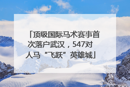 顶级国际马术赛事首次落户武汉，547对人马“飞跃”英雄城