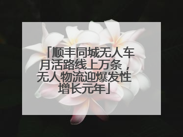 顺丰同城无人车月活路线上万条，无人物流迎爆发性增长元年