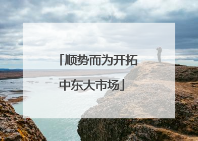 顺势而为开拓中东大市场