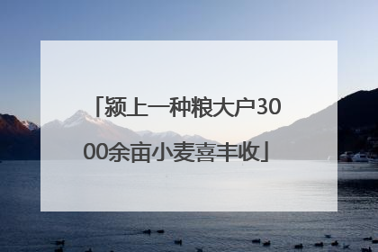 颍上一种粮大户3000余亩小麦喜丰收