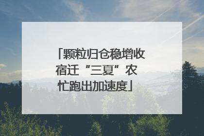 颗粒归仓稳增收 宿迁“三夏”农忙跑出加速度