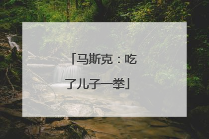 马斯克：吃了儿子一拳